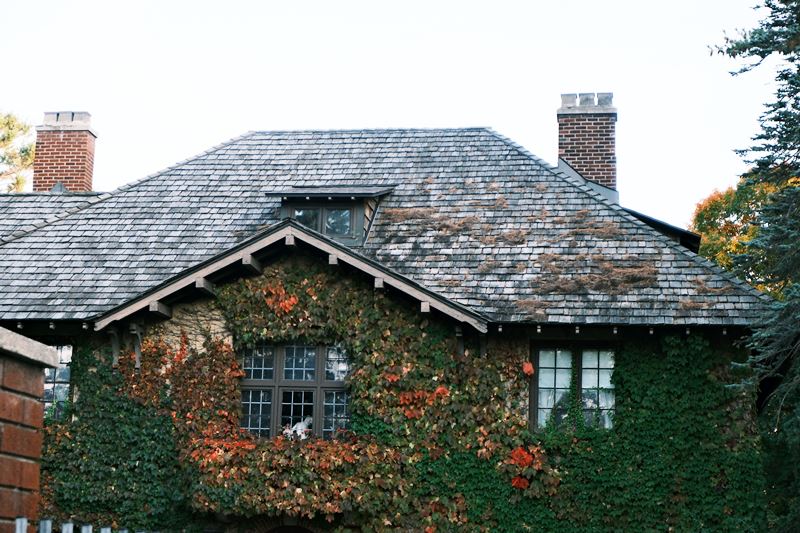 Chimney Tuckpointing